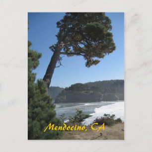 Mendocino, California Postcard