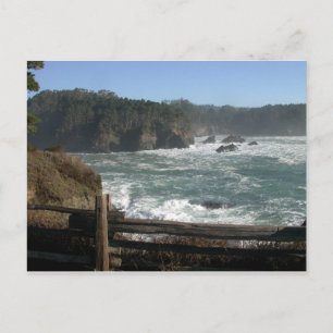 Mendocino Coast, CA Postcard