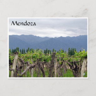 mendoza andes vines postcard