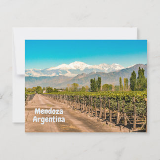 Mendoza, Argentine Winery, Mountains  Postcard