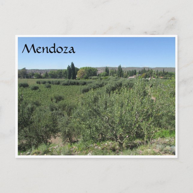 mendoza green hills postcard (Front)