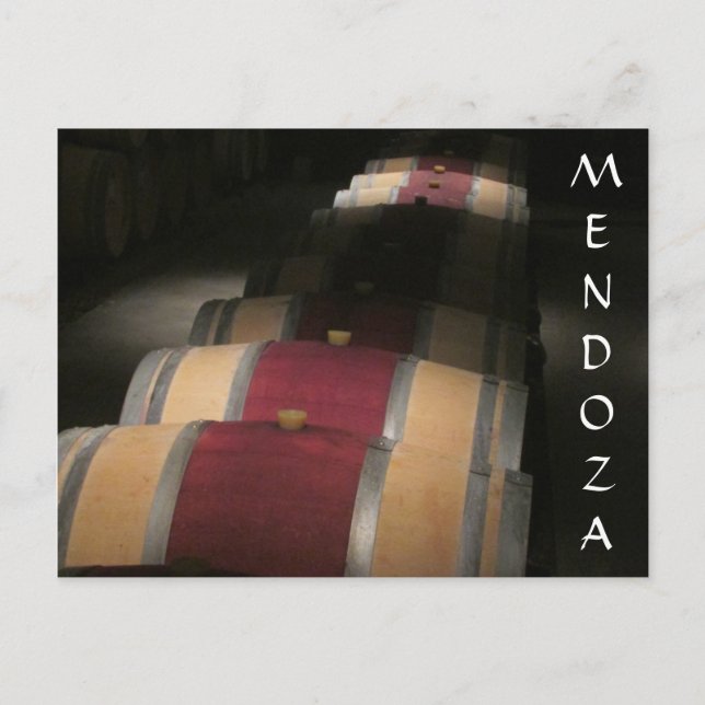 mendoza vino barrels postcard (Front)