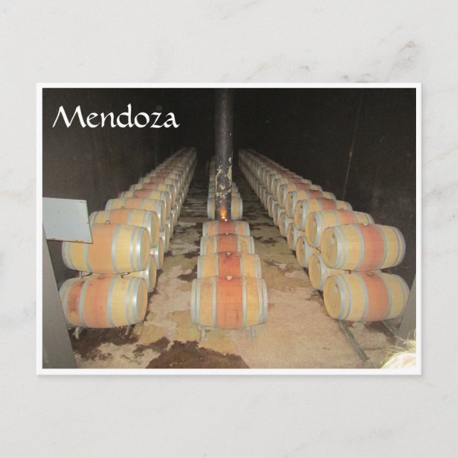 mendoza wine barrels postcard (Front)