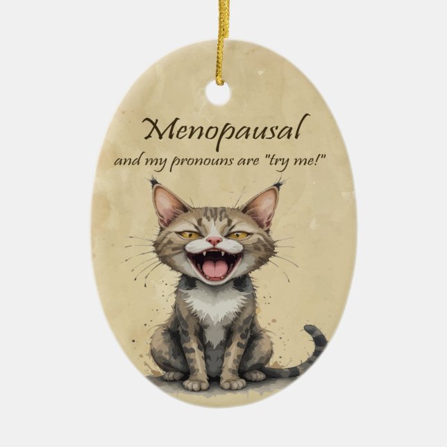 Menopause Humour Stressed Angry Cat Ceramic Ornament (Front)