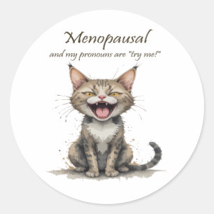 Menopause Humour Stressed Angry Cat Classic Round Sticker