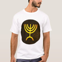 Menorah Flame
