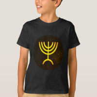 Menorah Flame