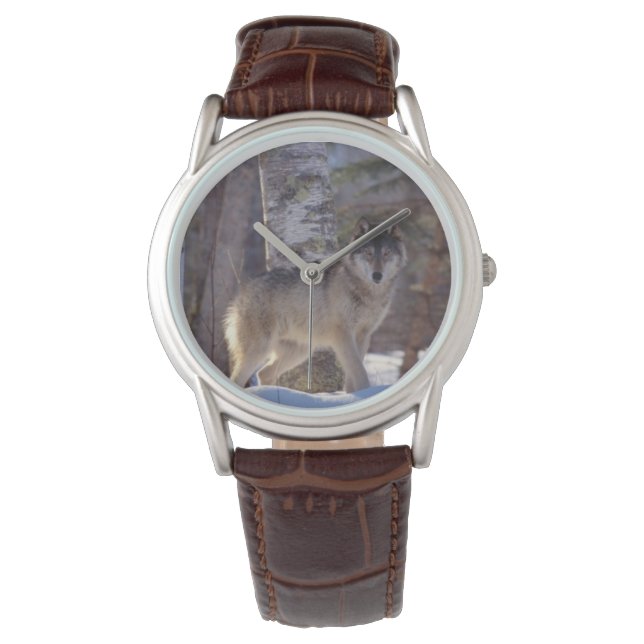 Mens Classic Watch/Wildlife Wolf Watch (Front)