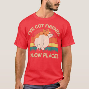 Mens Corgi Ive Got Friends In Low PlacesCute Corgi T-Shirt