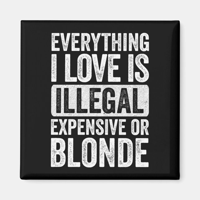 Mens everything love is illegal expensive or magnet (Front)