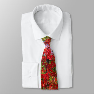 Men's Fall Leaves Tie