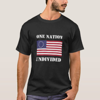 Mens Fashion Novelty ONE NATION UNDIVIDED T-Shirt