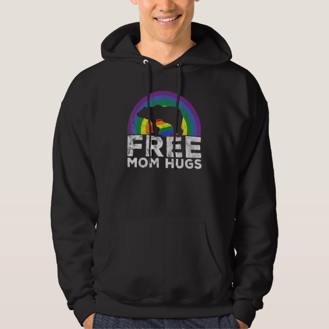 Mens Free Dad Hugs Lgbt Pride Papa Bear Lgbt Rainb Hoodie (Front)