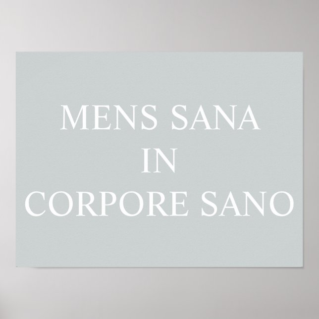 Mens Sana In Corpore Sano Print - Grey (Front)
