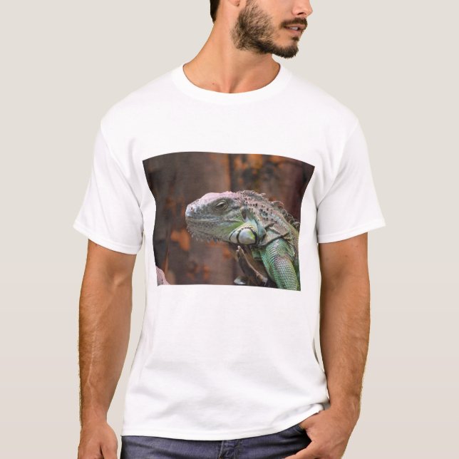 Mens T Shirt with colourful Iguana Lizard (Front)