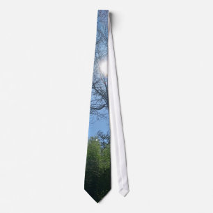 Men's Tie in Sunny Weather 