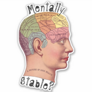 Mentally Stable Contoured Sticker