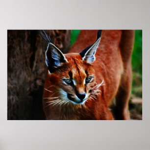 Meooow Poster