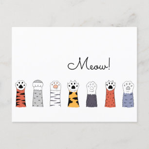 MEOW! Cat Paws Pet Cats Tiger Colourful Fun Postcard