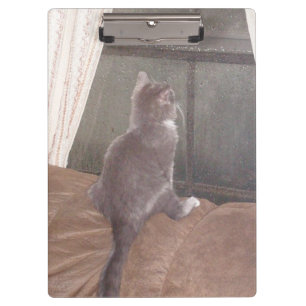 Meow Cats 11 Clipboard