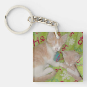 Meow Cats 12 Double Sided Acrylic Key Chain