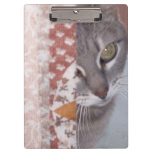 Meow Cats 13 Clipboard