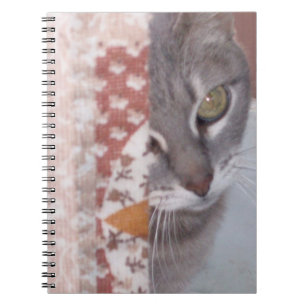 Meow Cats 13 Notebook