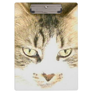 Meow Cats 14 Clipboard