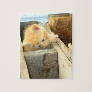 Meow Cats 1 Puzzle