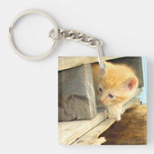 Meow Cats 1 Square Acrylic Keychain
