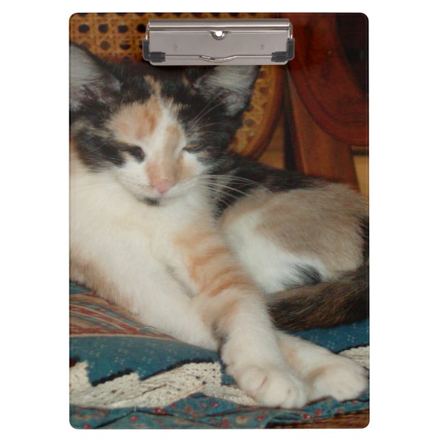 Meow Cats 23 Clipboard (Front)