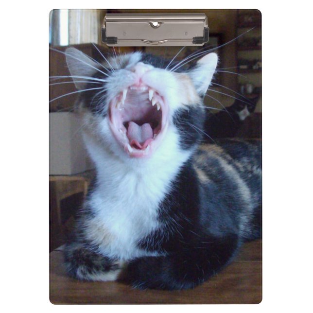 Meow Cats 30 Clipboard (Front)