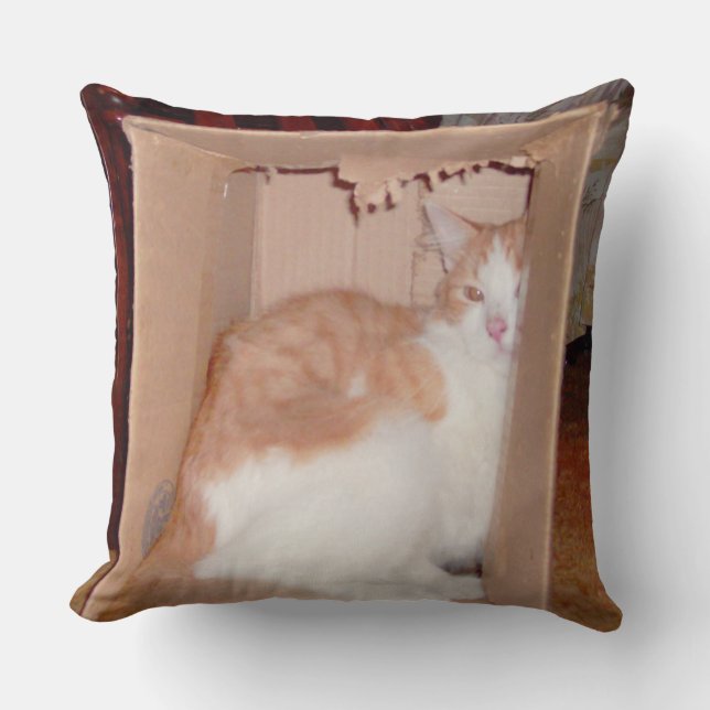 Meow Cats 31 Square Throw Pillow (Front)