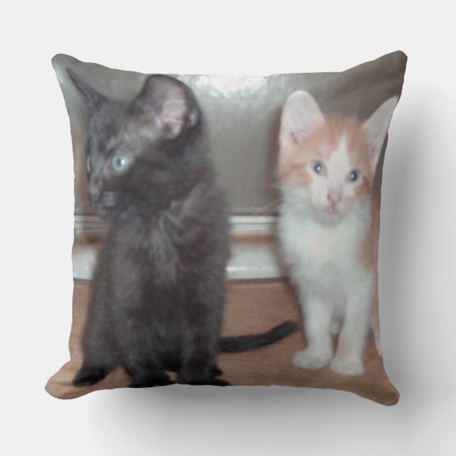 Meow Cats 32 Square Throw Pillow (Front)