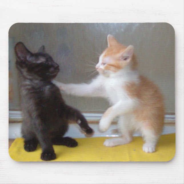 Meow Cats 34 Mousepad (Front)