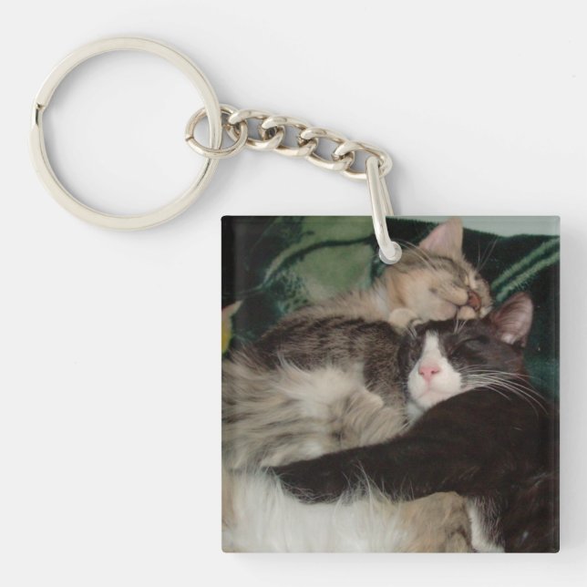 Meow Cats 3 Square Acrylic Keychain (Front)