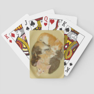 Meow Cats 4 Playing Cards