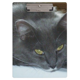 Meow Cats 8 Clipboard