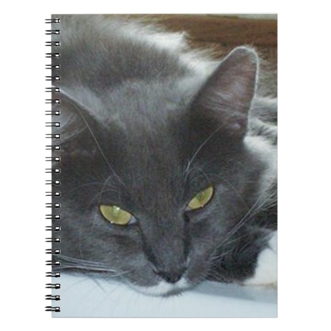 Meow Cats 8 Notebook (Front)