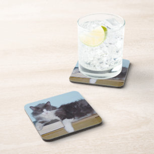 Meow Cats 9 Coaster Set