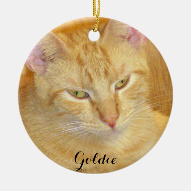 Meow Cats Ceramic Ornament (Front)