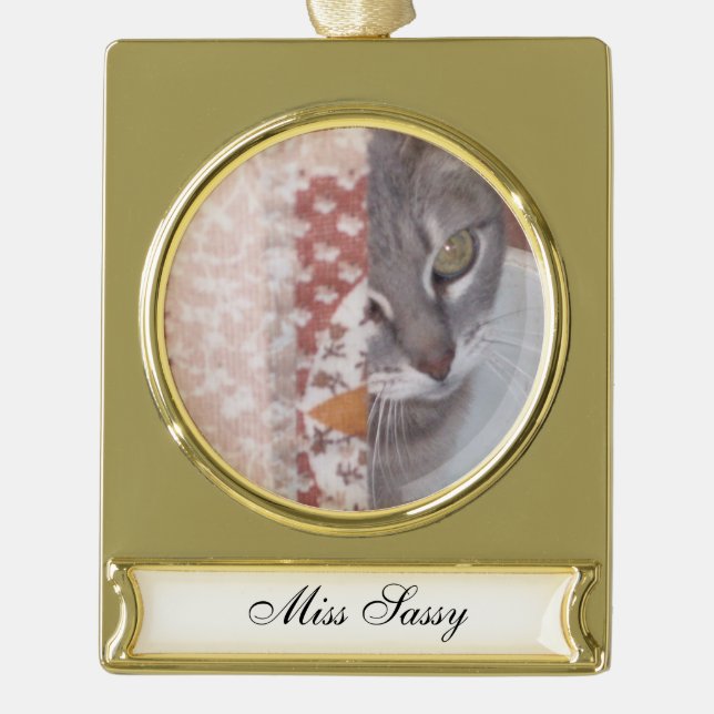 Meow Cats Gold Plated Banner Ornament (Front)