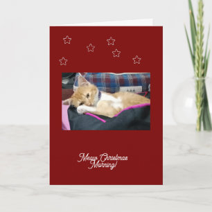 Meow Christmas ,photo, text, replaceable Holiday Card
