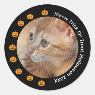 Meow Halloween Sticker, Photo Text Customize, Classic Round Sticker