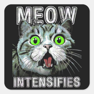 Meow Intensifies Scottish Fold Cat Meme Square Sticker