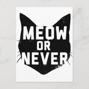 Meow or Never Postcard