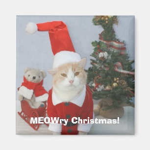 MEOWry Christmas! Magnet