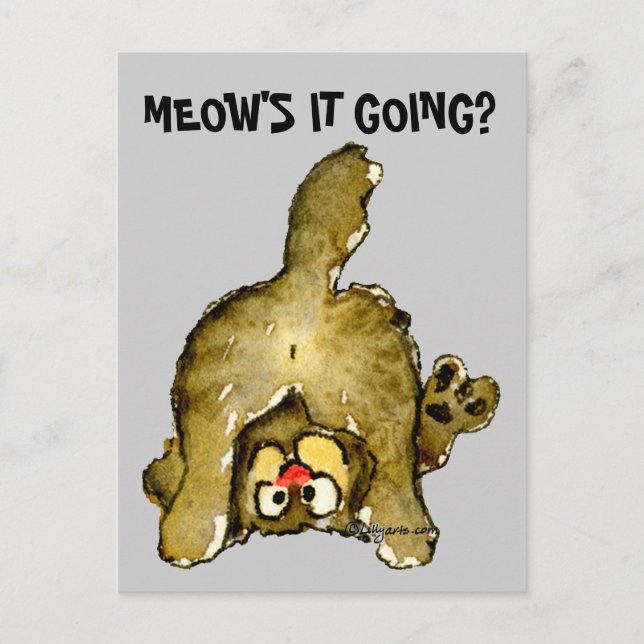 Meow's it Going Cartoon Cat Postcard (Front)