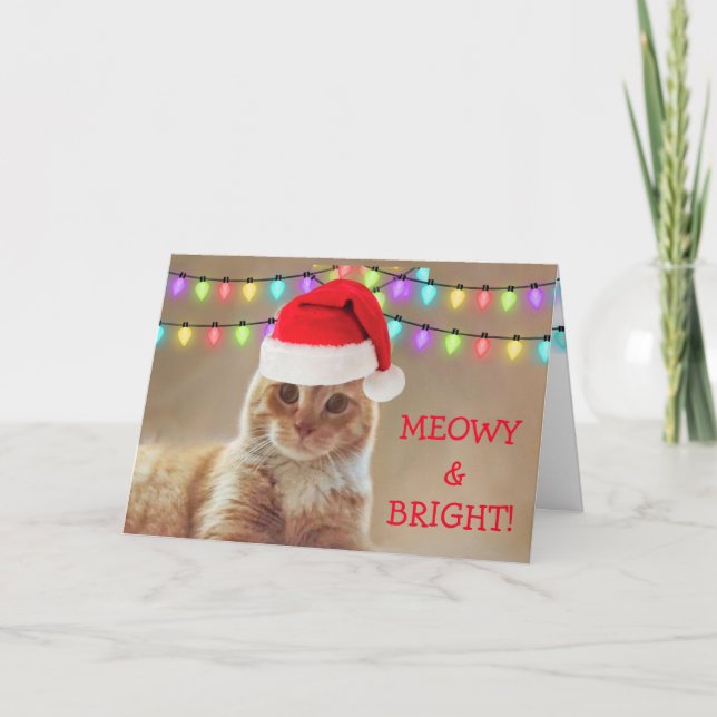 Meowy and Bright Cat Christmas  Holiday Card (Front)