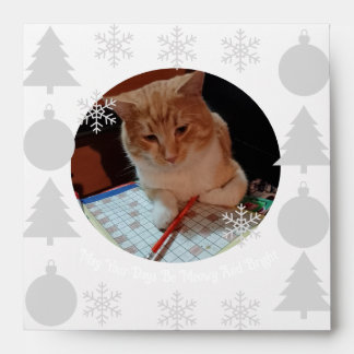Meowy And Bright, Cat Photo, Christmas Envelope